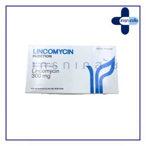 Lincomycin 300mg/ml inj. (Amp)
